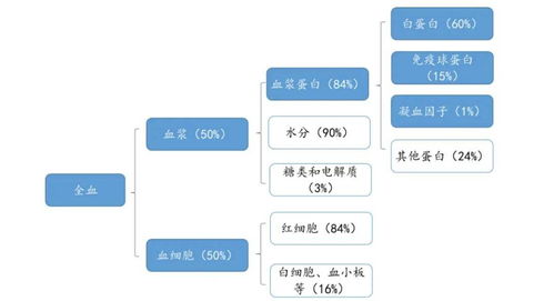 十一省聯(lián)動出擊 血液制品與計算機(jī)軟硬件開發(fā)領(lǐng)域的深度整治與創(chuàng)新突圍